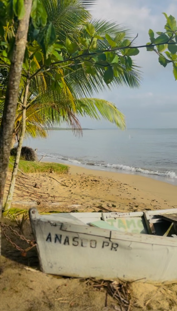 beach and boat in PR