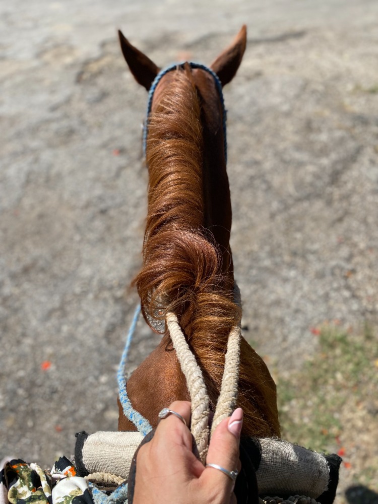 horseback riding